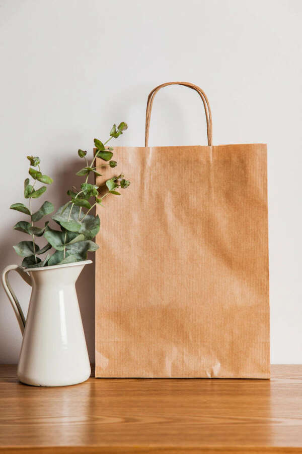 premium takeaway kraft paper bags, custom printed takeaway bag, business marketing paper bag, promotional kraft bag