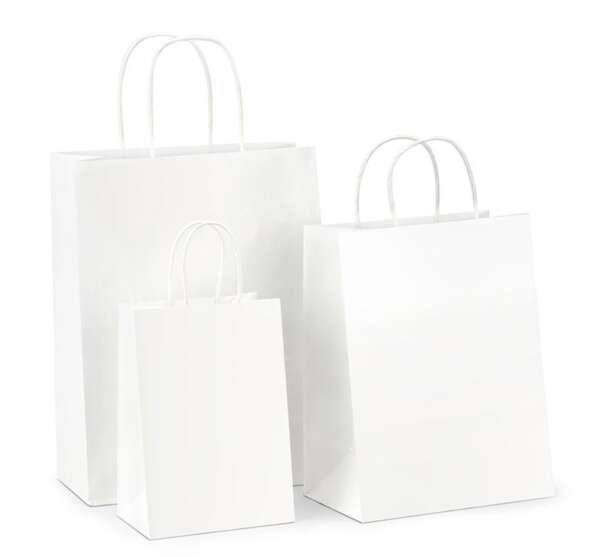 brown kraft food delivery grocery bag production sample with export carton support