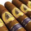 high quality gold foil stamping embossed cigar ring sticker label bulk cigar packaging use